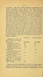 Oustalet 1876 - p.2.jpg