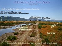 a Salt Pans beach 110513 LQ.jpg