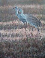 Sandhill Cranes2.JPG