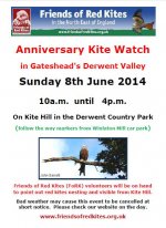 Anniversary Kite Watch 2014.JPG