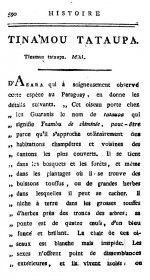 Temminck 1815 - Tataupa p.590.jpg