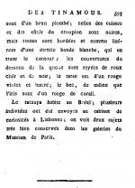 Temminck 1815 - Tataupa p.593.jpg