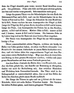 Meyen 1834 - p.111.jpg