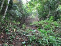 Stairs to Gamboa water tower.jpg