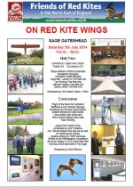 On Red Kite Wings Sage Gateshead.JPG