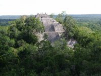 Calakmul.jpg