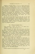 Reichenow 1886 - p.147.jpg