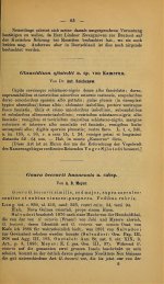 Reichenom 1893 -  p. 65jpg.jpg