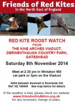 Roost Watch 8 Nov 14.JPG