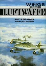 Wings of the Luftwaffe.jpg