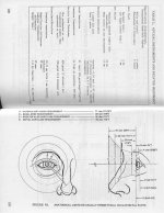 Eye Anthropometry .jpg