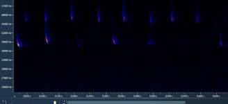 Nathusius' pipistrelle3.jpg