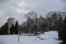 02 Sibelius Park.JPG