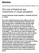 Fixational Eye Movements .jpg