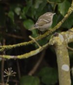 ybw2-sedgeberrow-28mar15.jpg