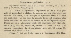 Sztolcman 1926 - p.230.jpg