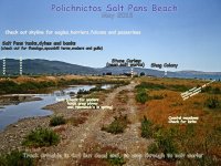 Polichnitos Salt Pans beach Lesvos Greece (bird watching sight) Lesvos 110513.jpg