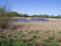 Oakley Pool SSSI.jpg