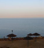 IMG_1664 Gtr Flamingo distant @ Dead Sea.jpg