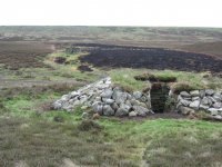 Grouse_butts_-_geograph.org.uk_-_416539.jpg