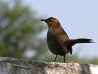 fatehpur - jaipur 058.jpg