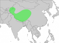 572px-GypsHimalayensisMap.svg.png