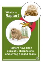 what_is_raptor.jpg