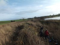 3.view from east hen pool willows cut today looking to sewage wrks lDSCF2406.jpg