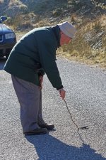 20160317 (32)_Toad_Crossing_Guard (683x1024).jpg