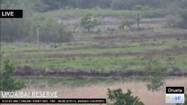 2016-04-26 Osprey.jpg