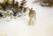 640px-Bruno_Liljefors_-_Winter_Hare.jpg