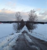 Finland Countryside.jpg