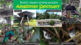 amazoniansanctuary.jpg