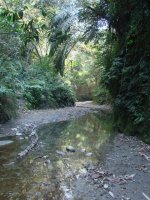 Hushan Stream.JPG