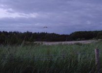 Barn Owl Coney 120616.jpg