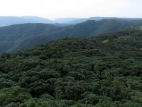 Amami Natural Forest Preserve (5).JPG