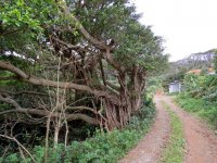 Track behind Hotel Caretta.JPG