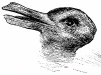 duck-rabbit.jpg
