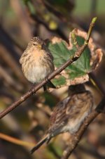 20160928 (1)_Twite.JPG