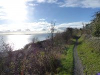 Path descends above Pipe Beach.jpg