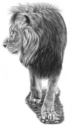lionfinished.jpg