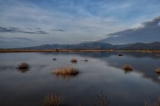 Kalloni Salt Pans 3.JPG