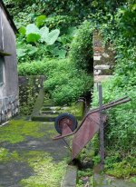 DSC04120 Wheelbarrow @ Tai O.jpg