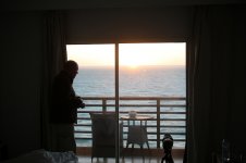 01 16.02.17 07.40 Seawatching (slumming it).jpg