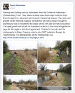 Droitwich canal reed removal Facebook.jpg