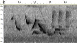 Common Rosefinch_Nigg Bay_270517a Sonogram.jpg