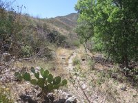 Florida Canyon trail.jpg