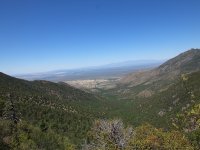 Madera canyon.jpg