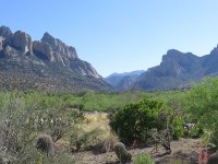 View from Dave's porch.jpg