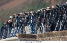 birdwatchers-or-twitchers-line-up-on-sea-wall-in-devon-looking-for-bcmad7.jpg